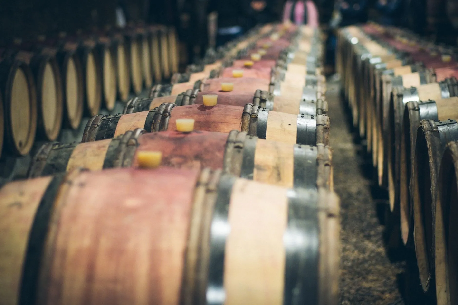 Whole-bunch pressing within an hour of picking, then a slow, cool ferment in steel and old oak.