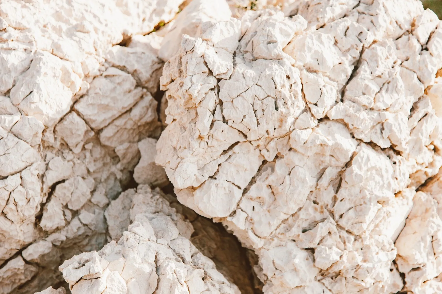 Close view of cracked white chalk rock, the stone under the vineyard